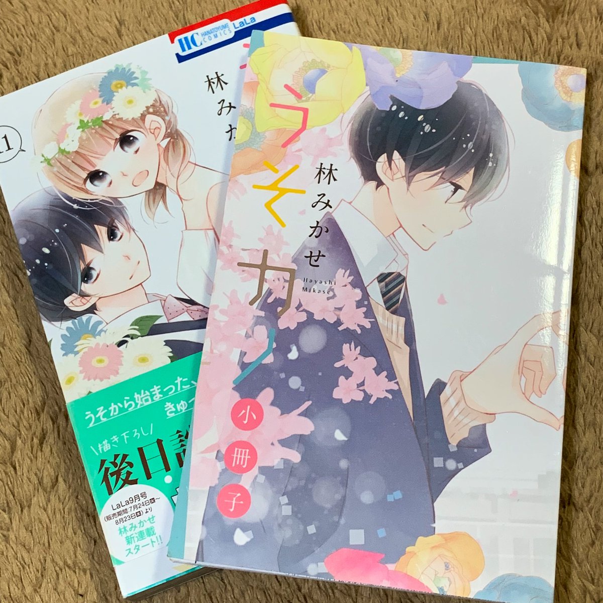 うそカノ 感想まとめ Min T ミント うそカノ 感想まとめ Min T ミント