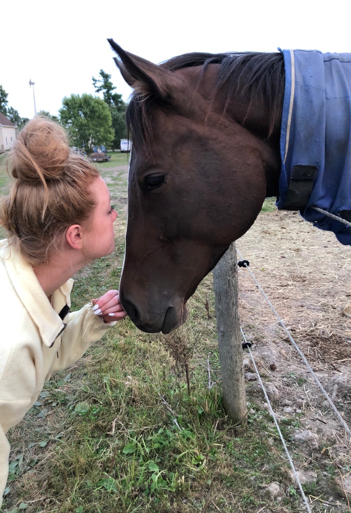 LongRunTB's tweet photo. LongRun Graduate Horse Stella (Elusive Suzy) and her forever person Laura. Read their story on our FB and IG accounts.

#ottb #thoroughbred #equine #equestrian #ottbsofinstagram #thoroughbredofinstagram #horses https://t.co/uLZYfvOeph