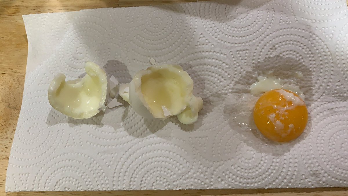 StephOfOz's tweet image. Boiled eggs longer than I usually do and they came out less cooked… #instafail