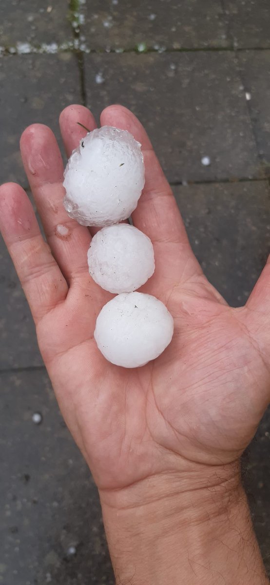 Lo Deimos Haku🇨🇭 tweet media