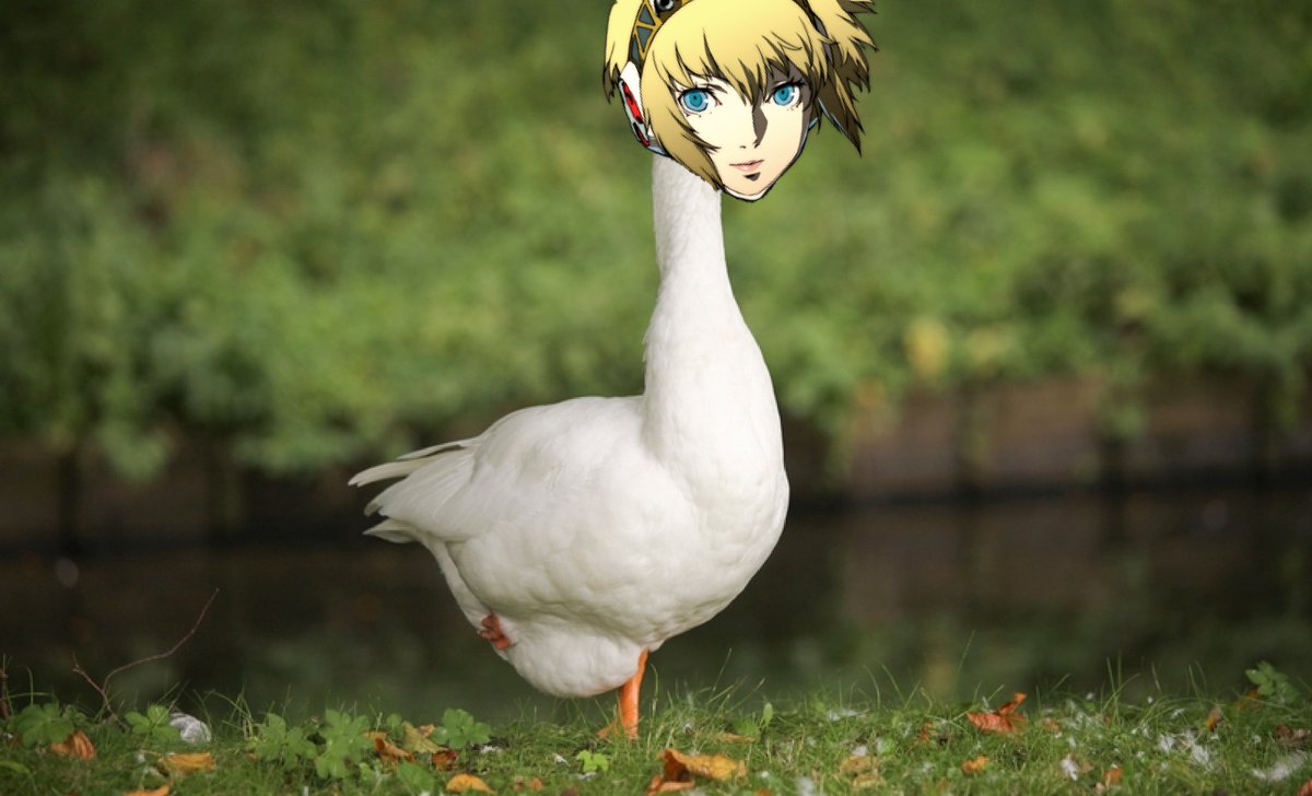 lustful_links's tweet photo. You cannot escape Aigoose https://t.co/Dl6THkN9dS