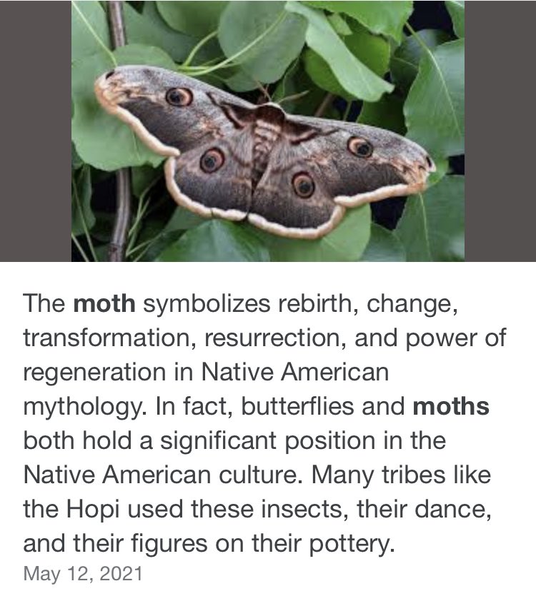 spoiles9's tweet photo. @danjlevy You will be even better (if that is even possible?)  ❤️ #moth #betterthanbefore https://t.co/jkn1kFLKdm