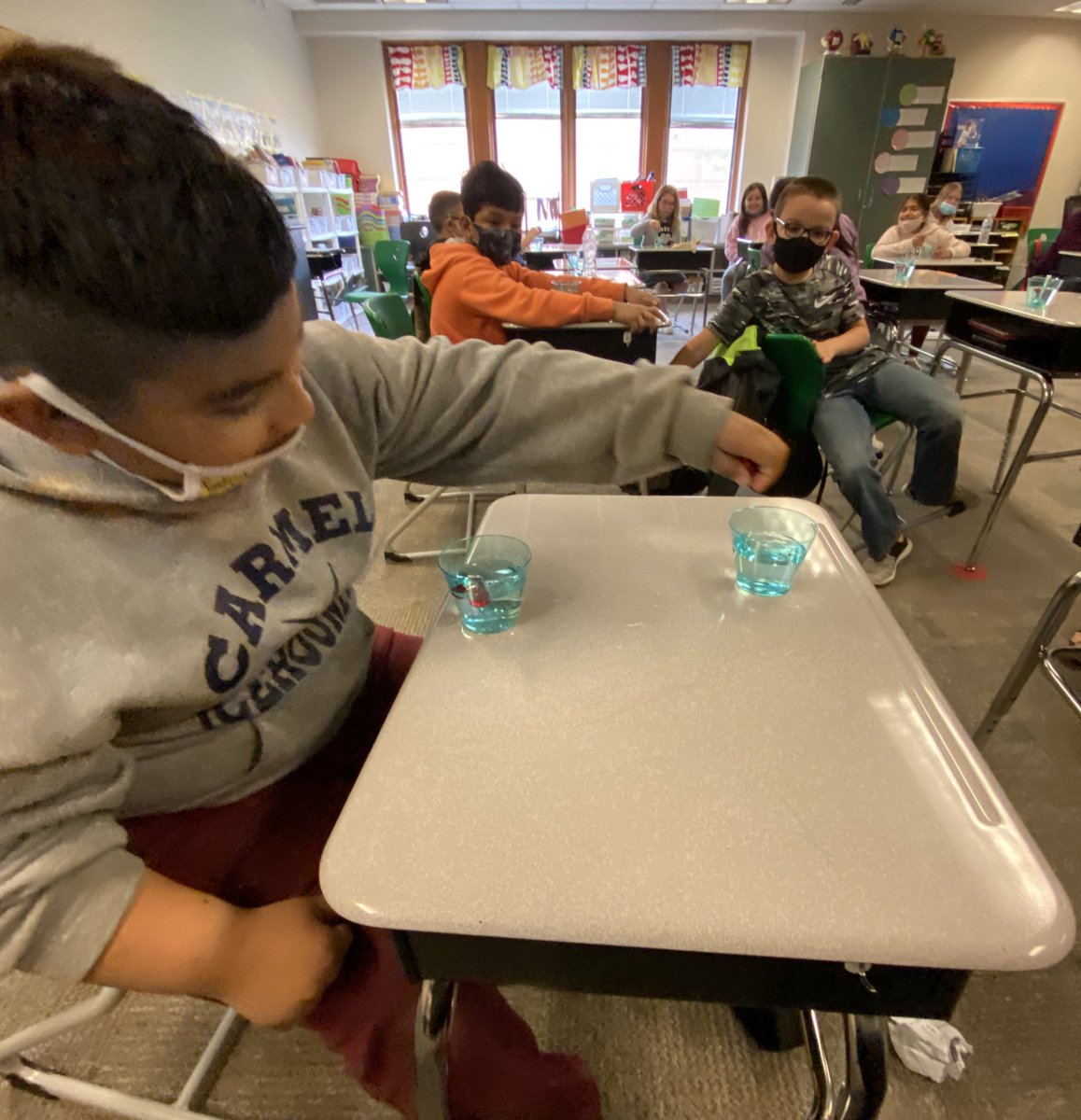What is the difference between salt water and freshwater?  Mrs. Vickary and her fourth grade students completed an experiment to study the impact of salt in water. #SummerSchool #CuriousKids #SaltWater