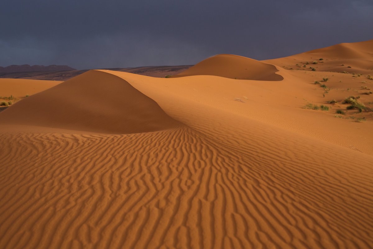 MarocRallye's tweet photo. Après 15 mois de pandémie, le Maroc réouvre ses frontières et accueillera le Rallye du Maroc du 8 au 13 octobre 2021.
After 15 months of pandemic, Morocco reopens its borders and will host the Rally of Morocco from 8 to 13 October 2021.
#Afriquia #MarocTelecom #visitmorocco https://t.co/9Voqz1XvlA