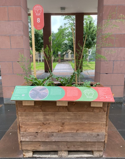 BLB_Karlsruhe's tweet photo. @Kunsthalle_Ka Tolles Projekt und wir sind gerne ein Teil davon. Heute hat Petrus die Gießpatenschaft für Beet 8 übernommen, bei schönem Wetter übernehmen wir dann wieder #issmich #inventingnature https://t.co/VtCEdEu7pV