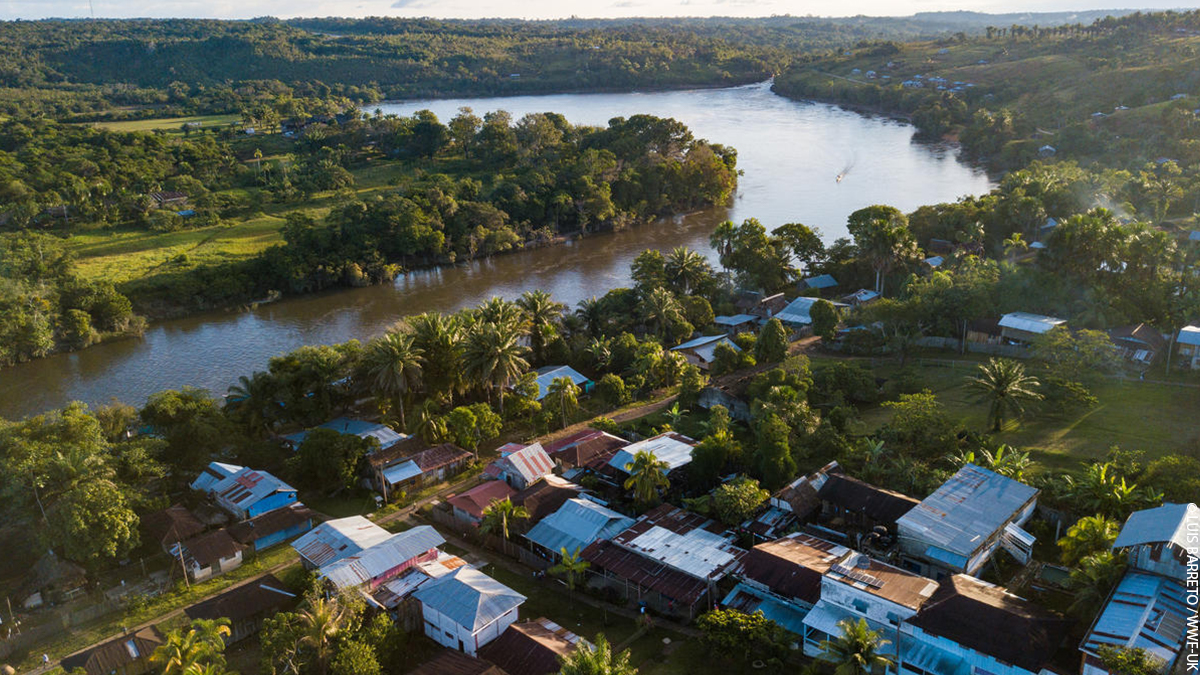 wwf_uk's tweet image. It’s #WorldRainforestDay! 🌳 

Retweet this post to show your appreciation for our planet’s largest rainforest – the Amazon. As well as being an irreplaceable home for wildlife and people, the Amazon is crucial for the future survival of us all.  #OneSharedHome