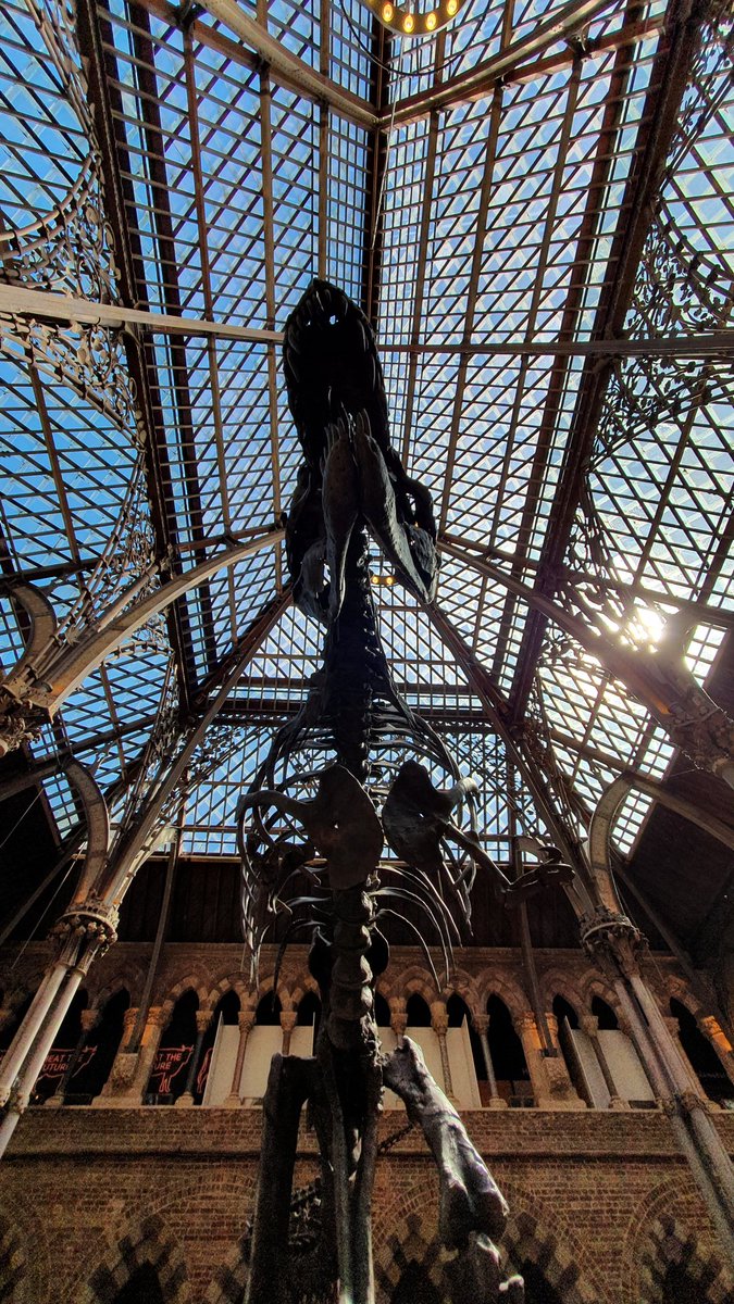 Diary Of The Dreaming Spires (@dreamingoxdiary) on Twitter photo A shout out to staff at <a href="/morethanadodo/">Oxford University Museum of Natural History</a> <a href="/Pitt_Rivers/">Pitt Rivers Museum</a> <a href="/Horseboxcoffee/">Dark Horse Roastery</a> and <a href="/SMVOxford/">University Church</a> for above and beyond welcoming hospitality today. Looking forward to revisiting all again in future! A shout out to staff at <a href="/morethanadodo/">Oxford University Museum of Natural History</a> <a href="/Pitt_Rivers/">Pitt Rivers Museum</a> <a href="/Horseboxcoffee/">Dark Horse Roastery</a> and <a href="/SMVOxford/">University Church</a> for above and beyond welcoming hospitality today. Looking forward to revisiting all again in future!