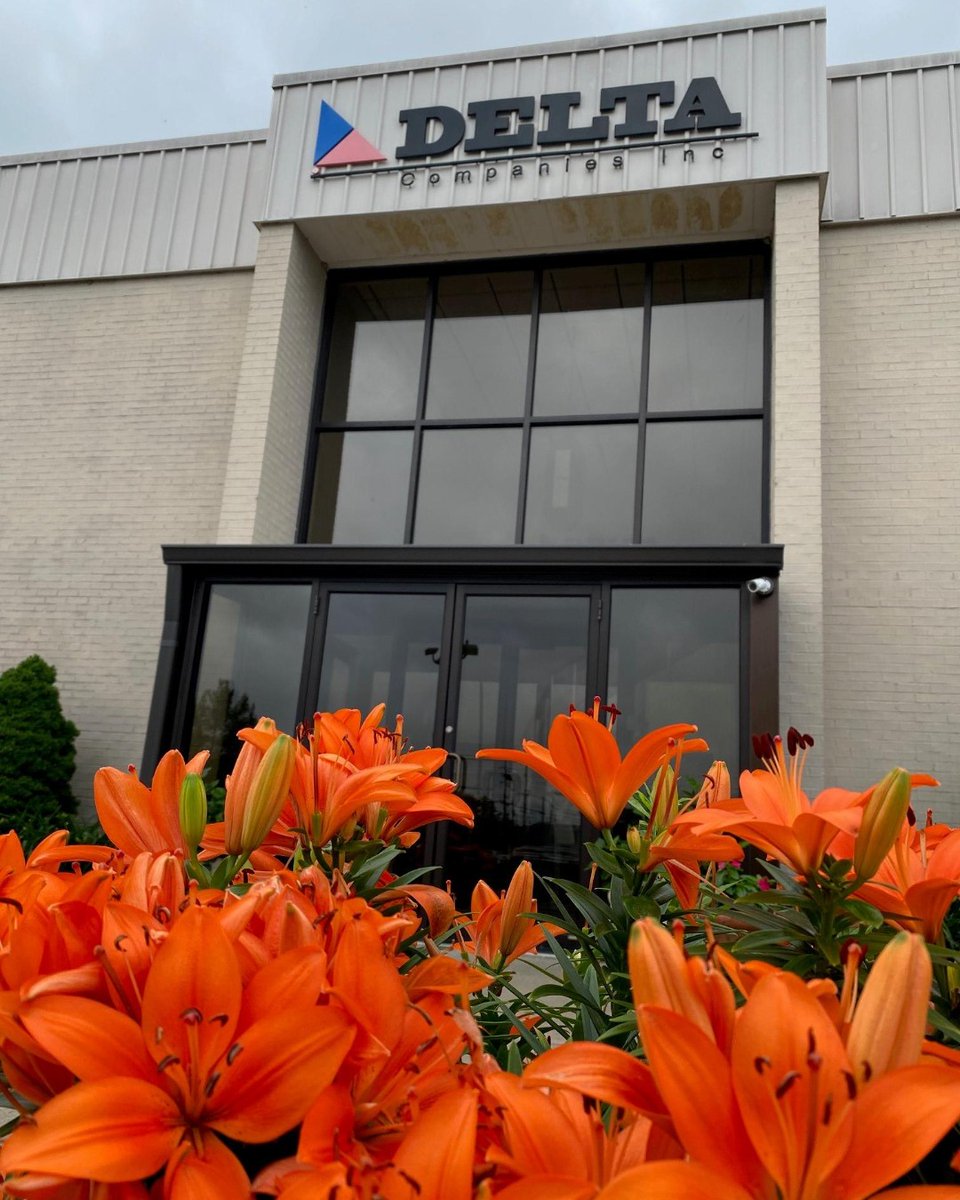 DeltaCompanies's tweet photo. During Colas Safety Week, even the flowers at our Corporate Office are wearing "safety orange!"
#ColasSafetyWeek #SafetyAttitude #SafetyCulture #ColasGoalZero #LivingGoalZero https://t.co/9VDLN5y0gR