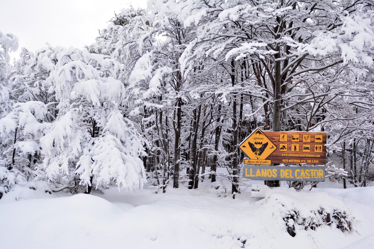 InFueTur's tweet photo. 📣El 2 de julio inicia la temporada invernal en el Fin del Mundo

Así lo informó el presidente del @InFueTur.  La temporada invernal inicia el 2 de julio con la apertura del Cerro Castor. 

Más información: https://t.co/4LZZAzNpY8 

#TierraDelFuego #FinDelMundo #FanDeLaNieve https://t.co/UChqMEm3Zc