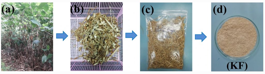 MecobPsu's tweet photo. S. Sarak, P. Boonsuk, A. Sukolrat, J. Mayakun and K. Kaewtatip published an article in International Journal of Environmental Science and Technology (ISI: Q2,Impact Factor: 2.412). The publication entitled “Effects of alkali treatment duration on propert… https://t.co/21bKrPJKyc https://t.co/LkCVIP6AFK