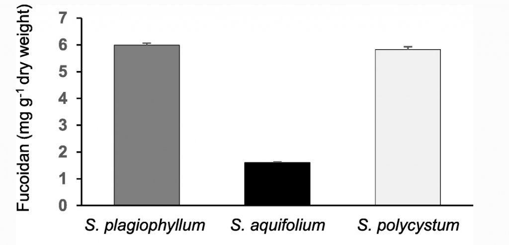 MecobPsu's tweet photo. Uraipan Saetan, Panwira Nontasak, Kunwadee Palasin, Hirun Saelim, Monwadee Wonglapsuwan, Jaruwan Mayakun, Supattra Pongparadon and Wilaiwan Chotigeat published an article in Journal of Applied Phycology (ISI: Q1,Impact Factor: 3.016). The publication ent… https://t.co/V8eXdUVMBj https://t.co/77k0EcpRtE