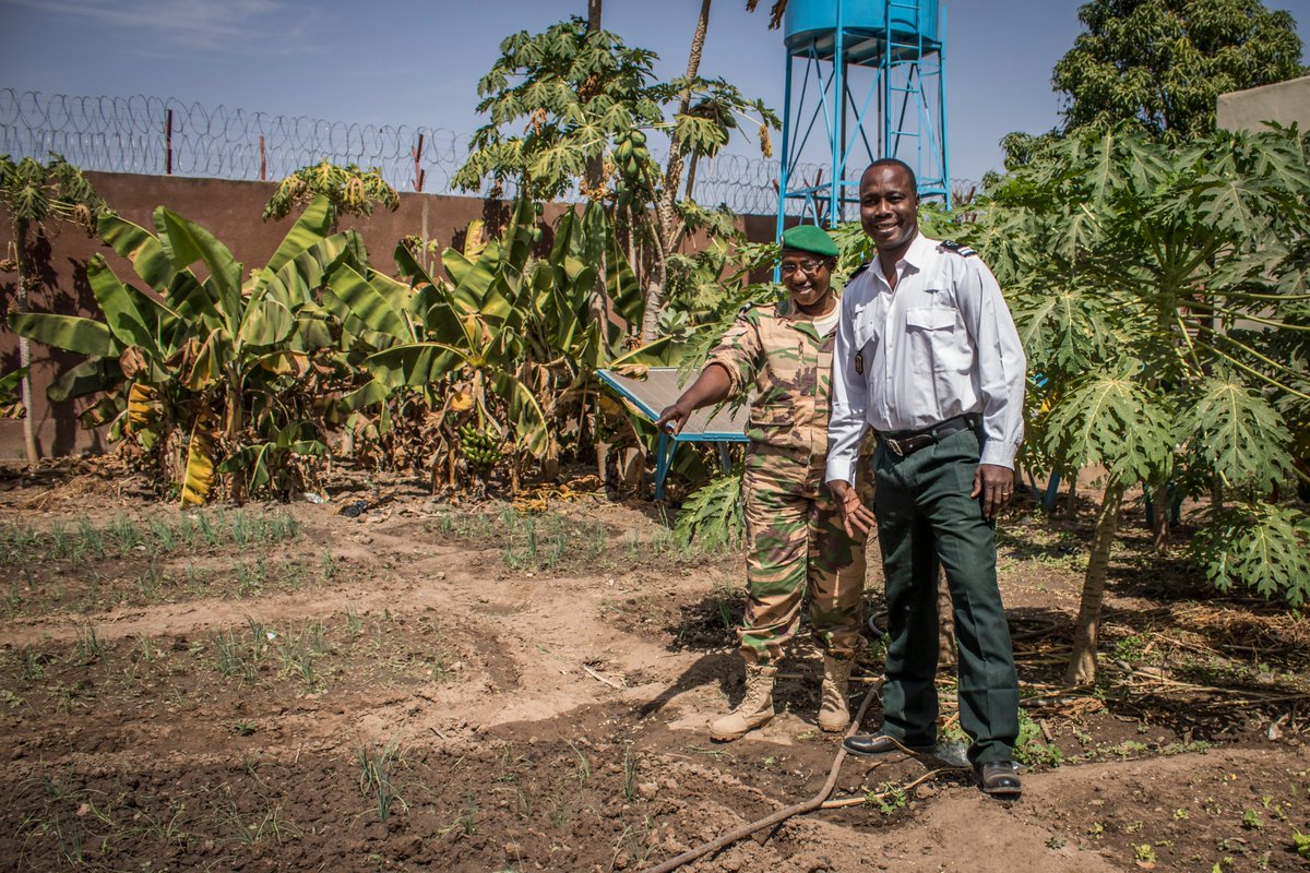 UNDP's tweet photo. In 2020, our Global Programme on Strengthening #RuleOfLaw and #HumanRights:

⚖️Assisted survivors of violence
⚖️Provided access to justice or legal aid 
⚖️Supported peace in +40 crisis-affected countries and territories

More in our 🆕 report: https://t.co/JM4UQLqc7W 

#ROL4Peace https://t.co/UCNnmNl49f