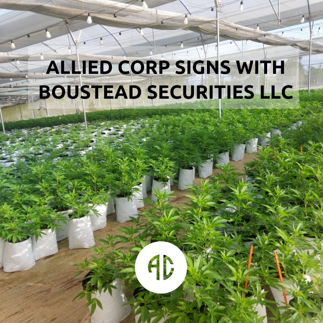 PRESS RELEASE // Allied Corp. (OTCQB: ALID) has signed an engagement agreement with #Boustead for potential securities and up-listing services.

“...Up-listing to a national exchange such as NASDAQ has always been a part of the Allied vision."

allied.health/news