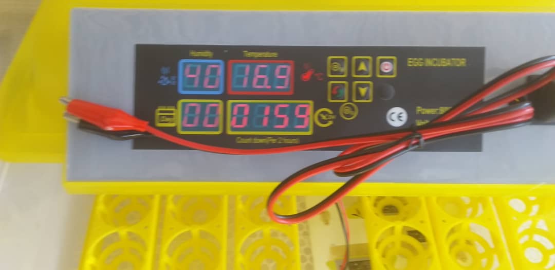 EggNamibia's tweet photo. Namibia EGG Incubators
IN STOCK
48 EGG INCUBATOR N$ 1800
120 EGG INCUBATOR N$ 3500
Contact 0813005118/ 0816057153 https://t.co/fSux9z9Q89