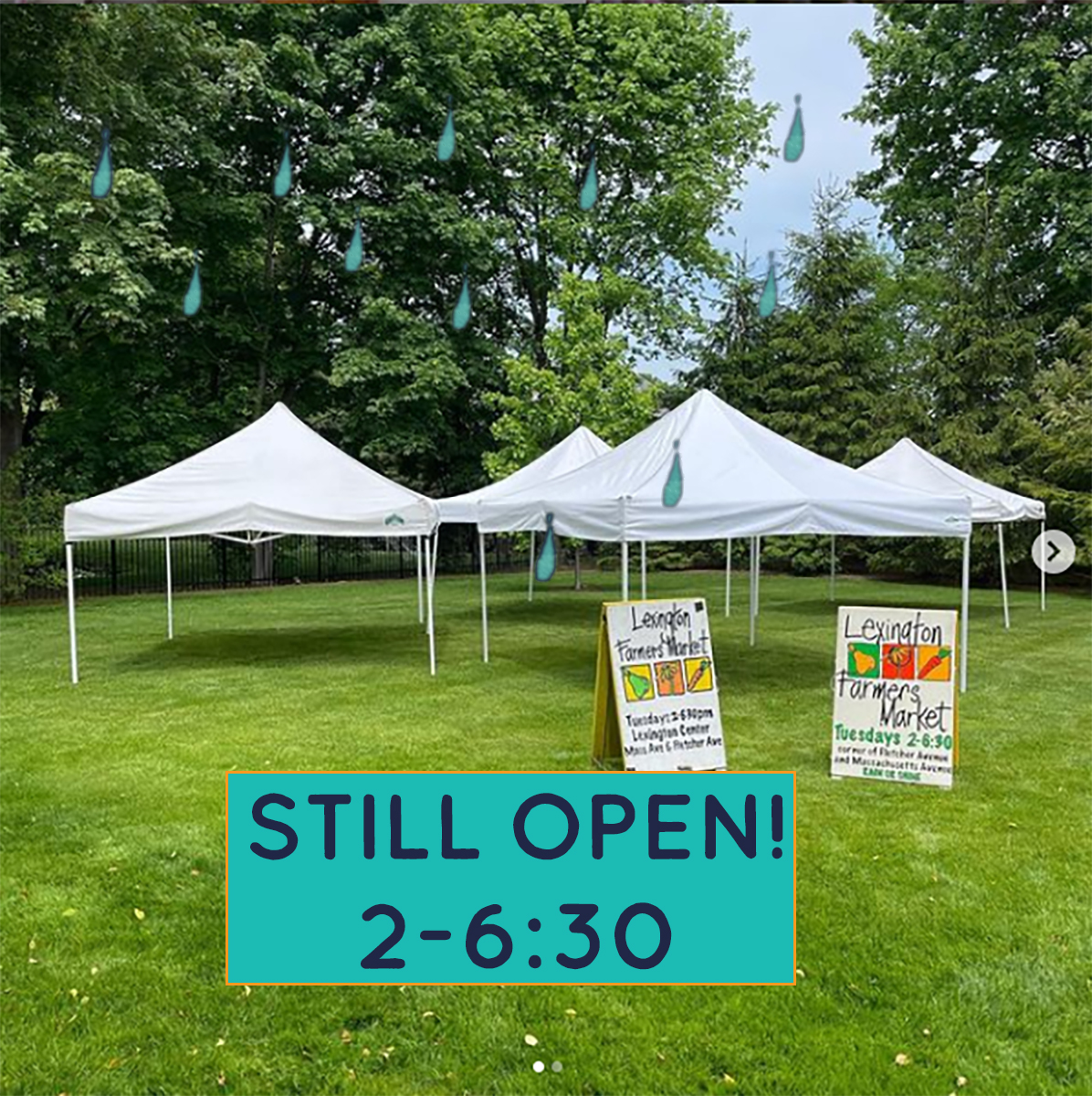HouseBearBrew's tweet photo. Come see us @Lexingtonfarmersmkt (112 Worthen Rd) 2-6:30!
The market'll still open, despite rain.
We'll have:
12% uncarbonated dry mead
#ShowBear
#WorldWarBee
#NurseryCrimes
6% carbonated sweet mead
#RootBear
Also get:
#meat
#produce
#everythingforyourmealtable ! https://t.co/On0O3WlZdB