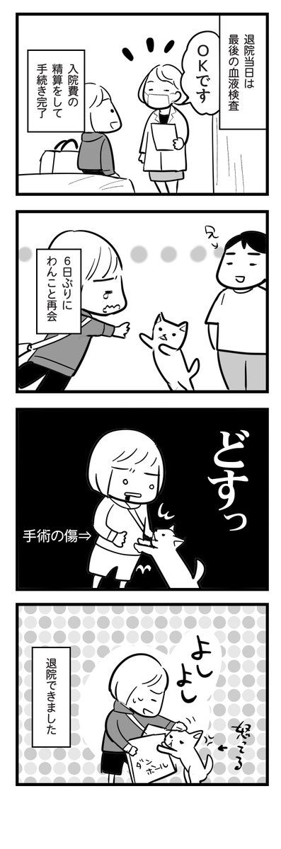 マンガ家に腫瘍が見つかって手術を受けた話
その20 『退院』

#漫画が読めるハッシュタグ  #コミックエッセイ 
#エッセイ漫画 #子宮内膜症 #卵巣嚢腫 