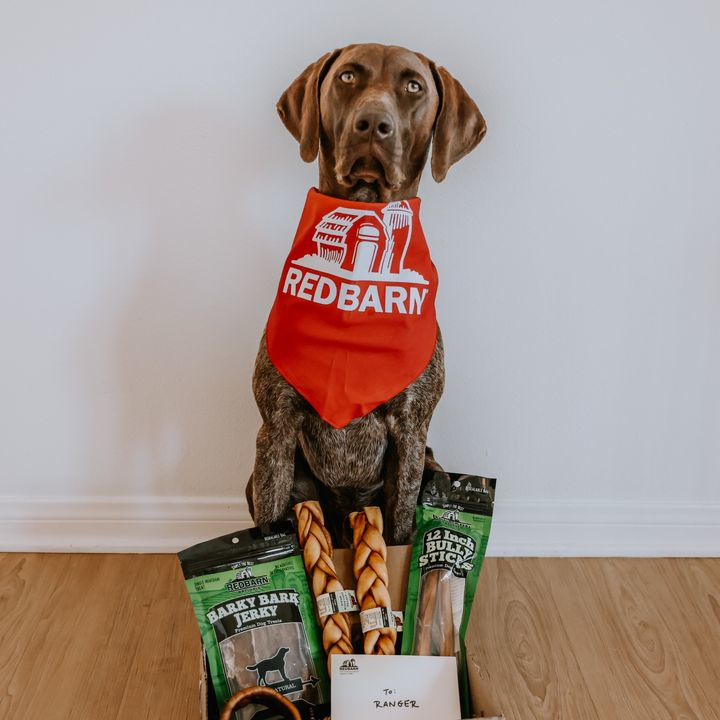 BayStatePet's tweet photo. We sent our pal, Ranger, some of our new Puffed Collagen Braids, and a couple of his personal favorites! Needless to say, he's been wagging his tail ever since 😊 https://t.co/LxgFCykx5A
