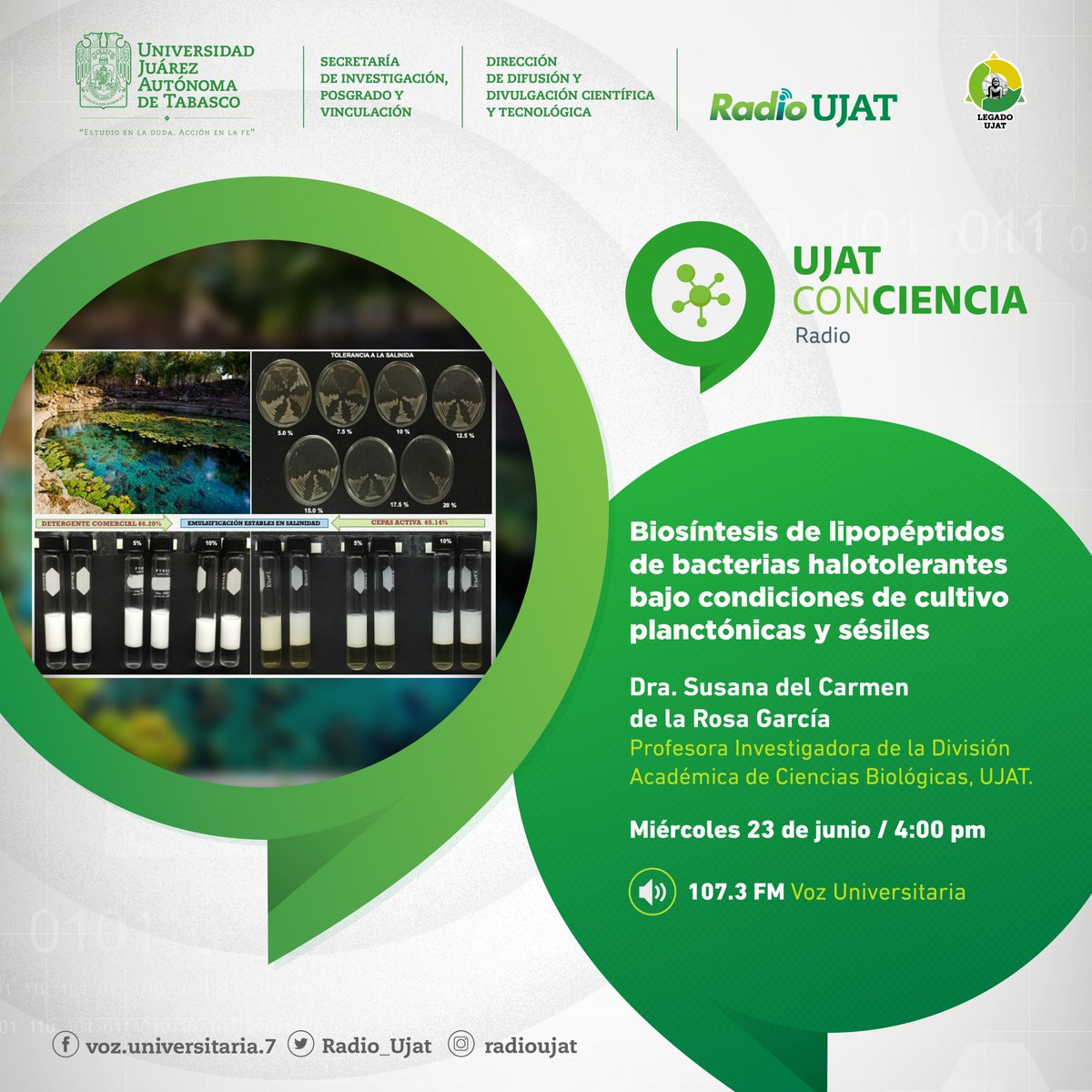 dcyt_ujat's tweet photo. Te invitamos a escuchar el programa #UJAT ConCiencia #radio, a través de la frecuencia 107.3 FM Voz Universitaria, invitada: Dra. Susana de la Rosa de la #DACBiol, #UJAT.   💧🦠🧪👇🏼
#CienciaJuchimán #CienciaDesdeCasa #investigación #cenotes #vidaacuatica #Tabasco #Yucatan https://t.co/QiRgWngo6f