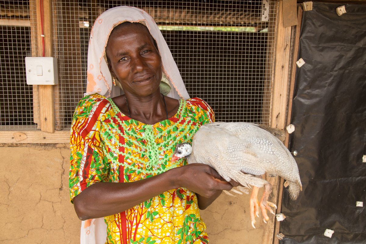 WorldBankAfrica's tweet photo. Women are 11 percentage points more likely than men to have lost their job due to COVID-19, and are returning to work at a slower pace – that’s why tailored policy responses are needed to prevent an unequal crisis turning into an uneven recovery.
https://t.co/ZOSf8wCzVG https://t.co/nhXxrrxBtY