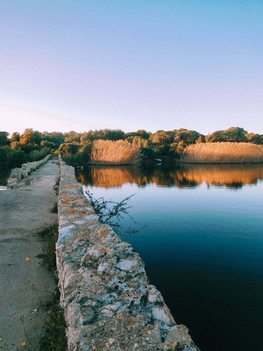 visualmelodies_'s tweet photo. It's all so quiet 💫✨

#Sardegna #ThePhotoHour https://t.co/EV0dlrq4MC