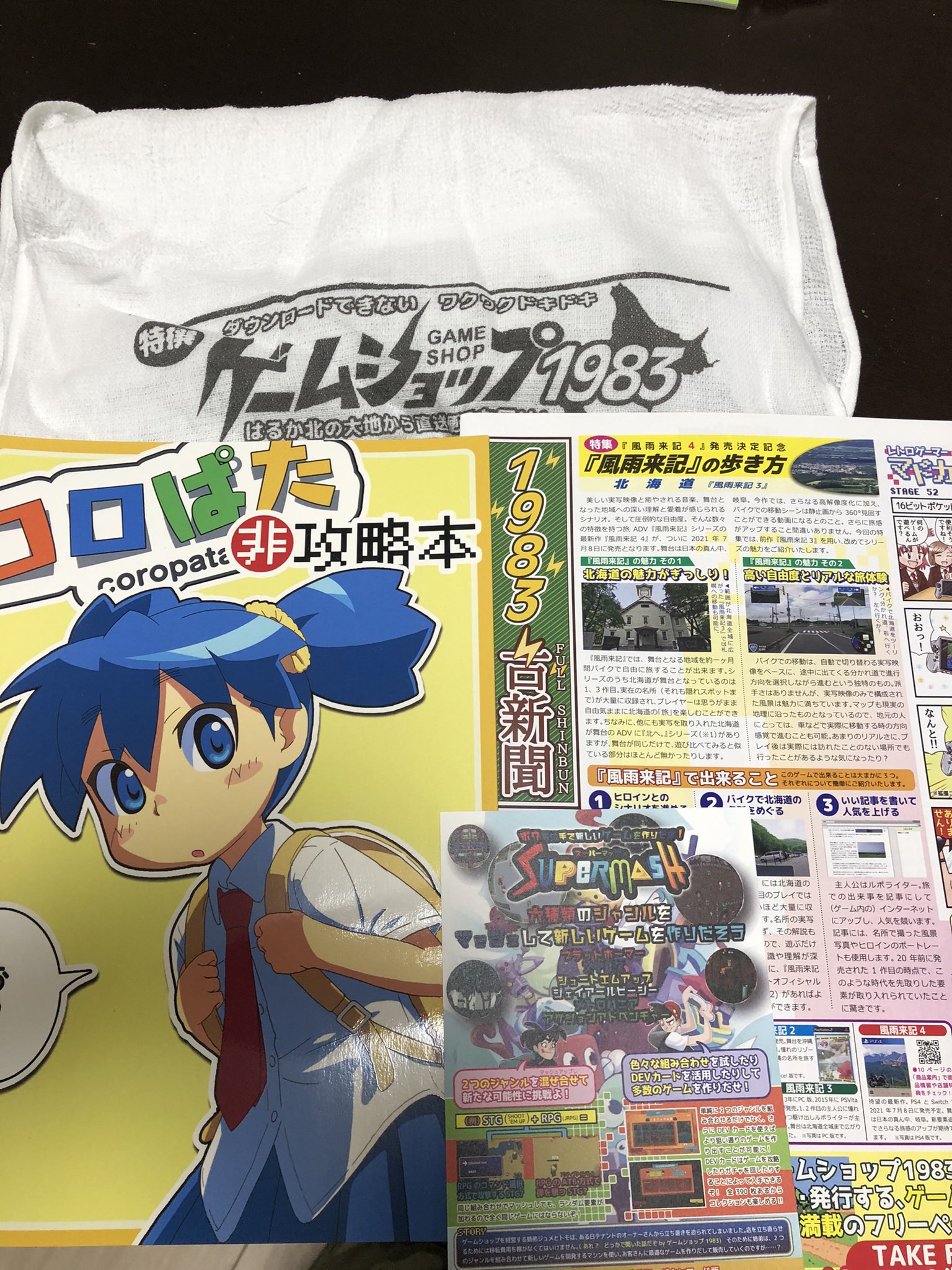 全DLステージ入り】ニンテンドーDS プレミアソフト コロぱた