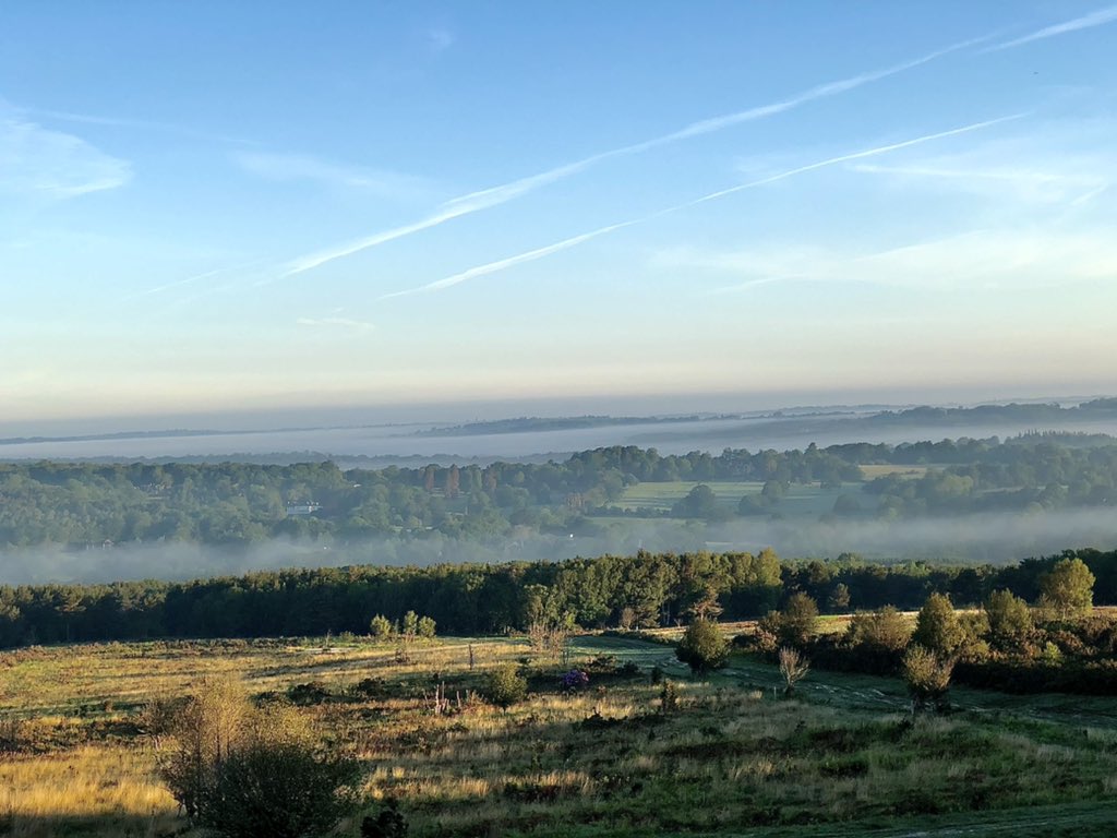 Ready to buy your own #ClarksonsFarm yet? We’re intouch with a few tucked around #Sussex for those with £3m+