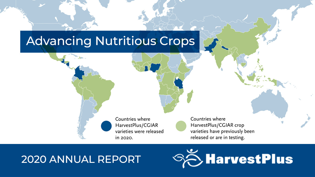 HarvestPlus tweet media