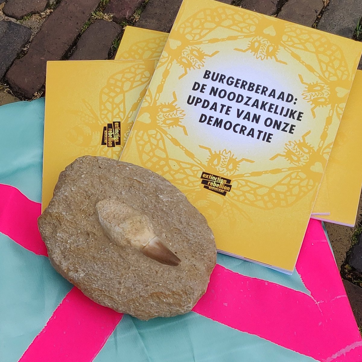 NLRebellion's tweet photo. Rebel @EvaRovers heeft zojuist onze passage voor in het regeerakkoord over het ambitieuze burgerberaad aangeboden aan premier Rutte.
Lees meer op https://t.co/3Yyi2YNVzV #Burgerberaadvoorhetklimaat #NuHetNogKan https://t.co/mAMSoZTSa3