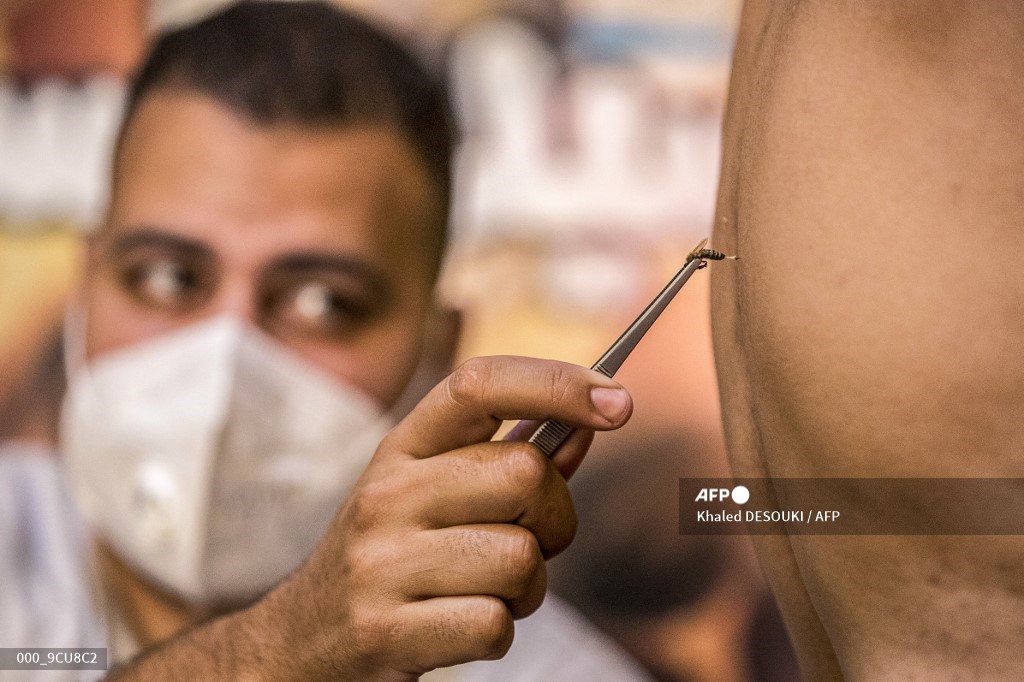 AFP Photo tweet media