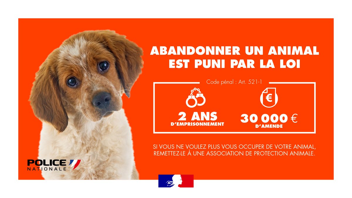 PoliceNat63's tweet photo. [#Vacances] Comme nos enfants, qu'ils soient petits ou grands, on les aime. Alors, si on ne peut pas les emmener en vacances, on trouve une solution de garde. @SPA_Officiel #StopàlAbandon https://t.co/zEBftw3DOm