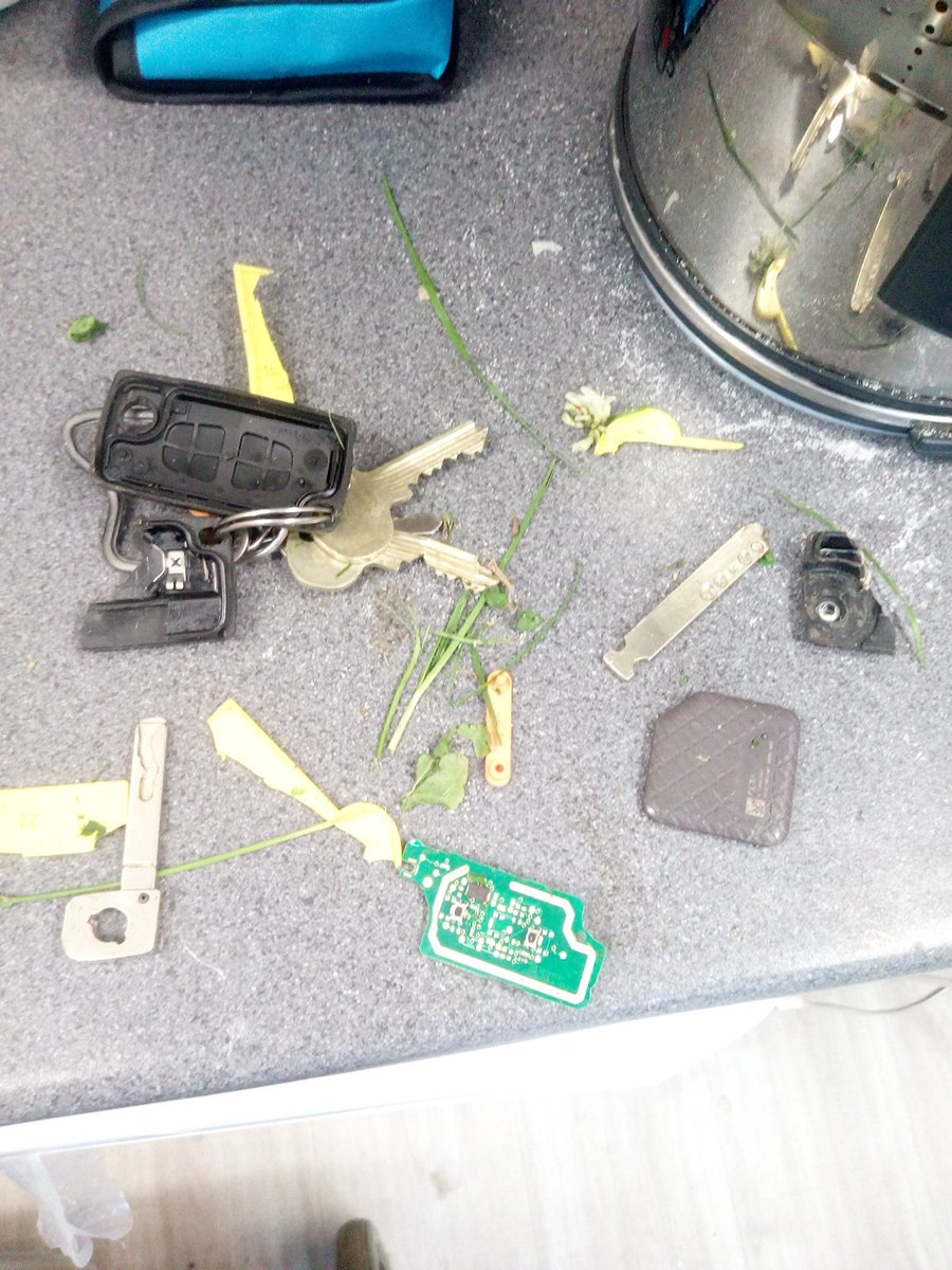daddyorscience's tweet image. Whoops. Keys + 500cc lawn tractor= obliteration.  Nay matter. Replaced most, and auto locksmith is coming tomorrow to make a new key for the big Cit.  All the more reason to look at biometric door locking, as the kids want.