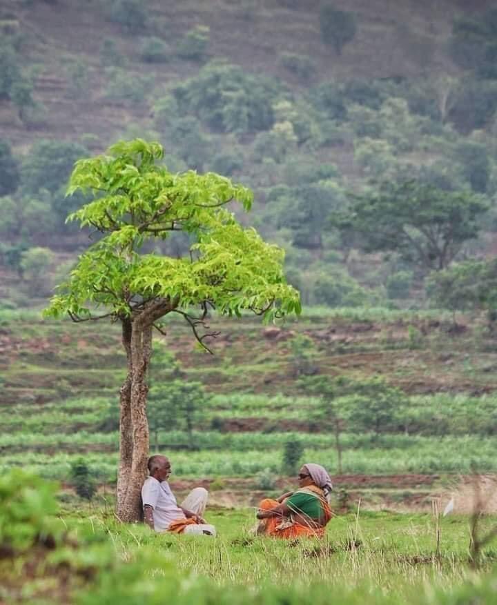 PariRaj15601858's tweet photo. सुखद अनुभव के लिए भीड़ की जरुरत नहीं होती ।
🥰💞 https://t.co/Snpxb5vPPQ
