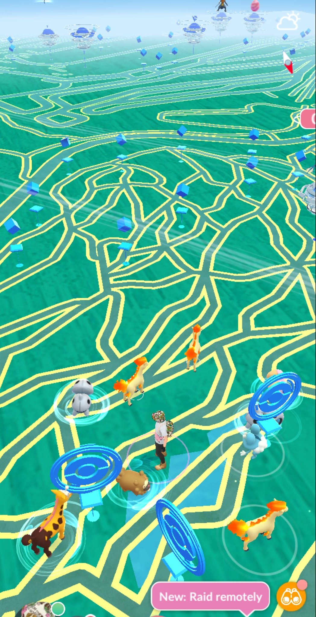 Pokemon Go Nests Farm Rare Twitter