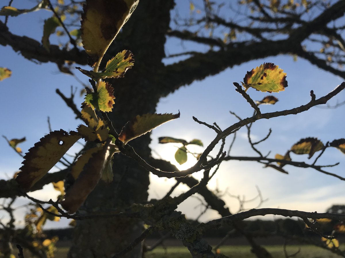 LASEducation's tweet photo. Here's the next announcement for LAS Schools' Photography Competition sponsored by @DysonFarming. The winner for KS3 is... @BostonHigh_SC. The judges said a very technically challenging photo! Well done https://t.co/JiKPQqV5Aw