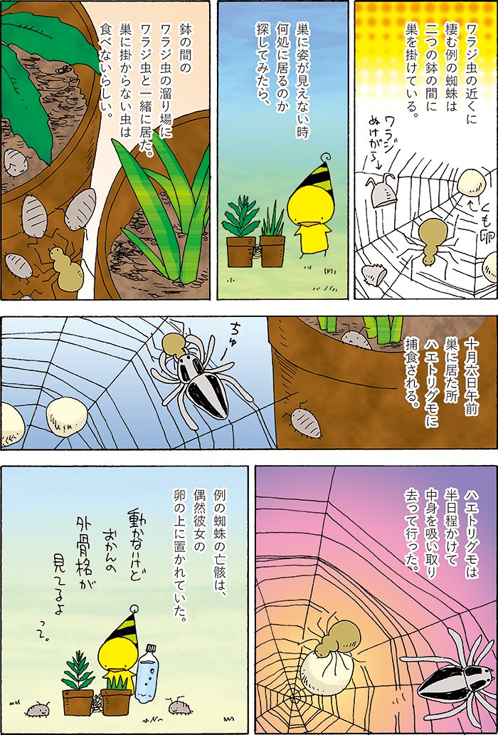 生物繫がりという事でワラジ虫観察の記録をどうぞ。 https://t.co/DCtqDbf2Sk