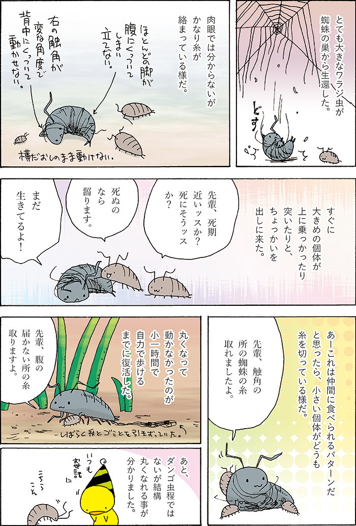 生物繫がりという事でワラジ虫観察の記録をどうぞ。 https://t.co/DCtqDbf2Sk