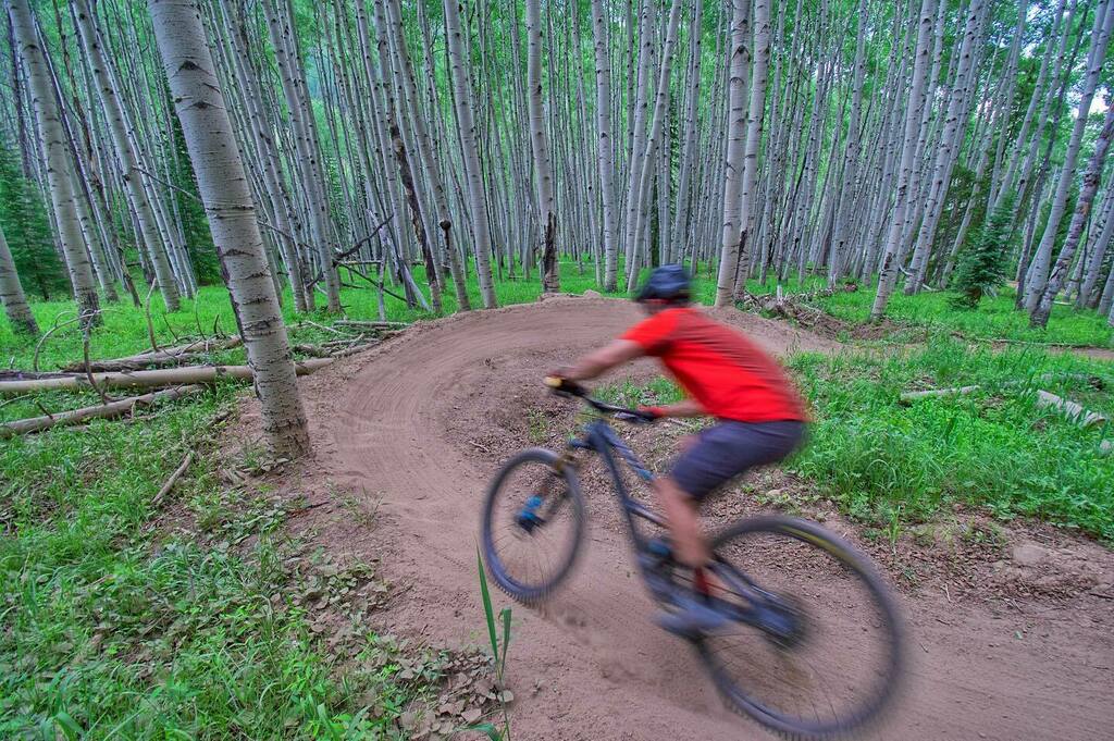 thepowdermonk's tweet photo. The woods are lovely, light and deep...
.
.
.
#PEARLiZUMi #cycling #mtb #bikestyle #optoutside #mountainbike #singletrack #mtblife #whyiride #ridefromhome #onelesscar #ridemoredomore #coloradogram #vaillive #coloradolive #pearlizumisponsored https://t.co/7cCfStUk0V https://t.co/0dpX1jL7Wd