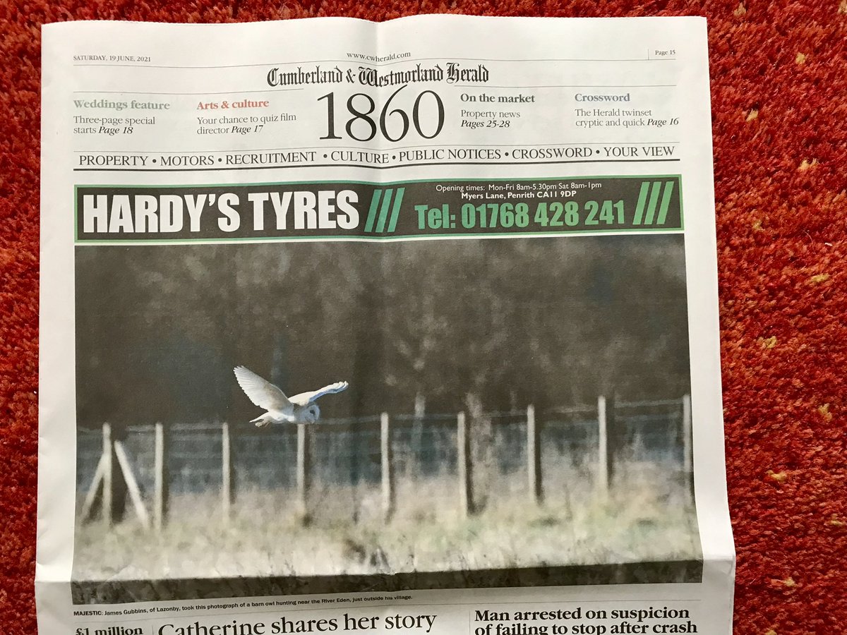 Congrats to our official photographer 🤝😉 #wildlife #photograghy #CUMBRIA #LakeDistrict