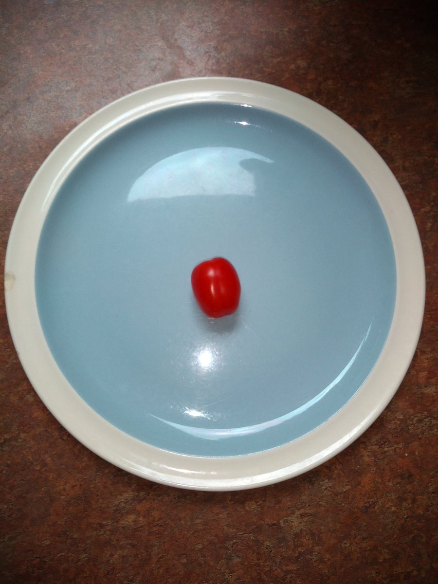 BorisBlinks's tweet photo. Today I have harvested the tomato. It may not be much, but it's all mine. Actually, we shared it. 😊
 #FirstTomato #TomatoTuesday https://t.co/yJQx8LuLNe