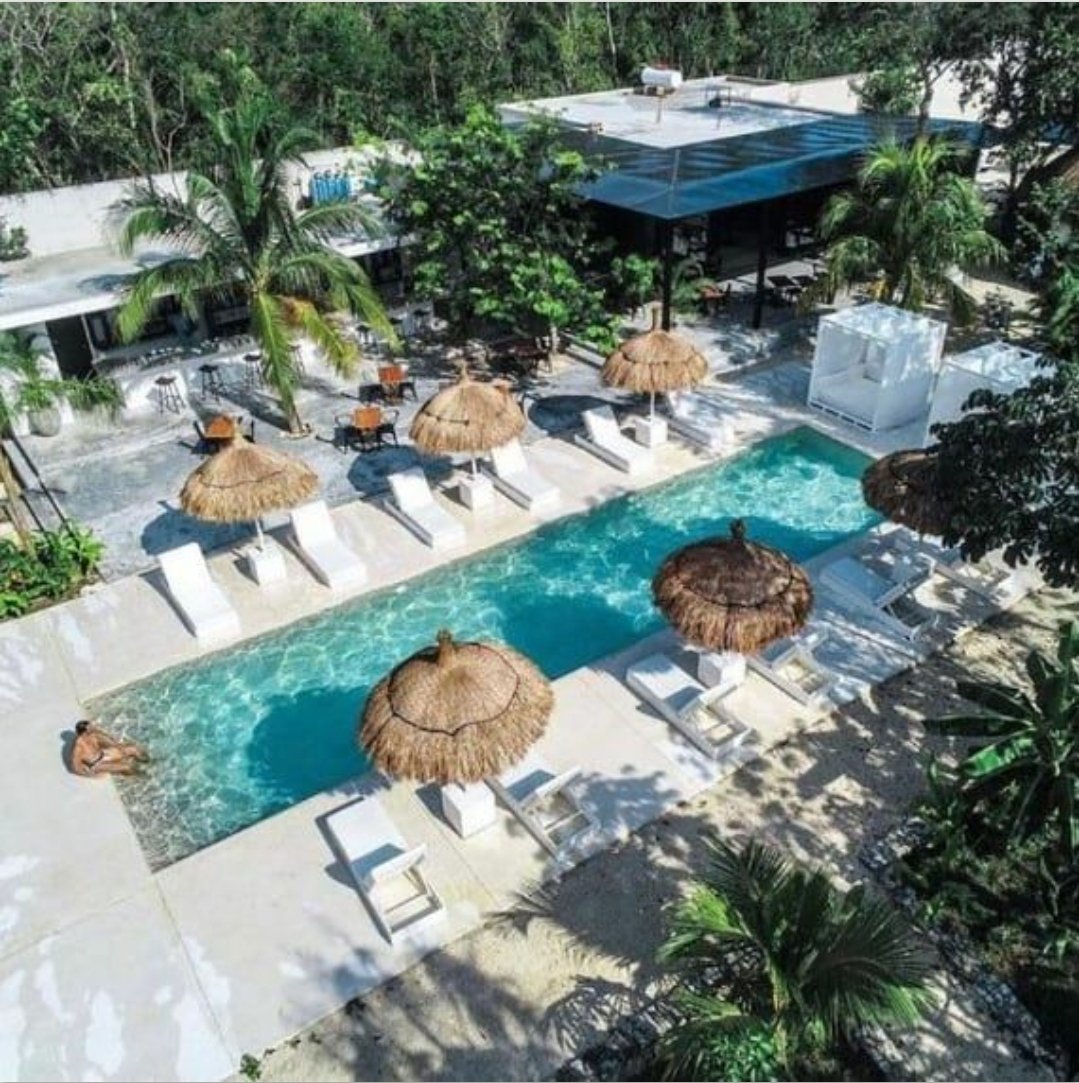 7SWRivieraMaya's tweet photo. Ven a disfrutar en nuestro propio lugar y nuestra transportación, paseo con el LIFESTYLE, buen gusto, comida, Tulum, nudismo, pool party y habitaciones.
Invitada de lujo @CurvyGirl_XXX
#swingercancun #swingerrivieramaya #swingerplayadelcarmen #swingertulum
#swingertour
#hotwife https://t.co/Y7VjBvhWjz