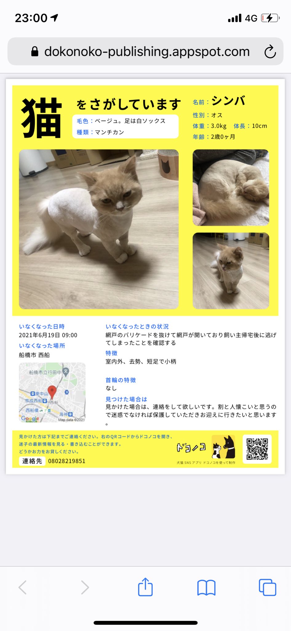 妖怪猫あやし Nekoayashi Twitter