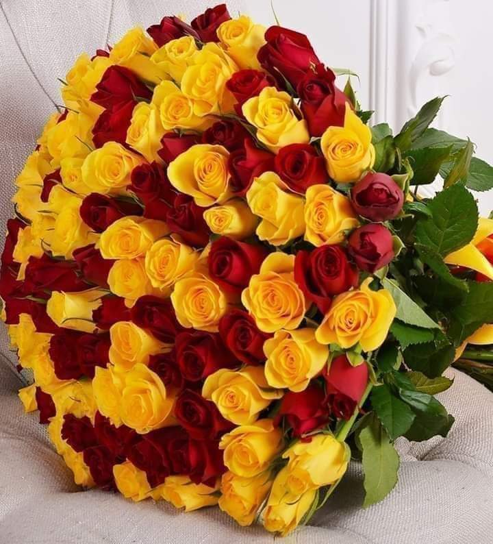 efiketinba1's tweet photo. @dilekdegedilek Selamlar https://t.co/GB2YXujRjR