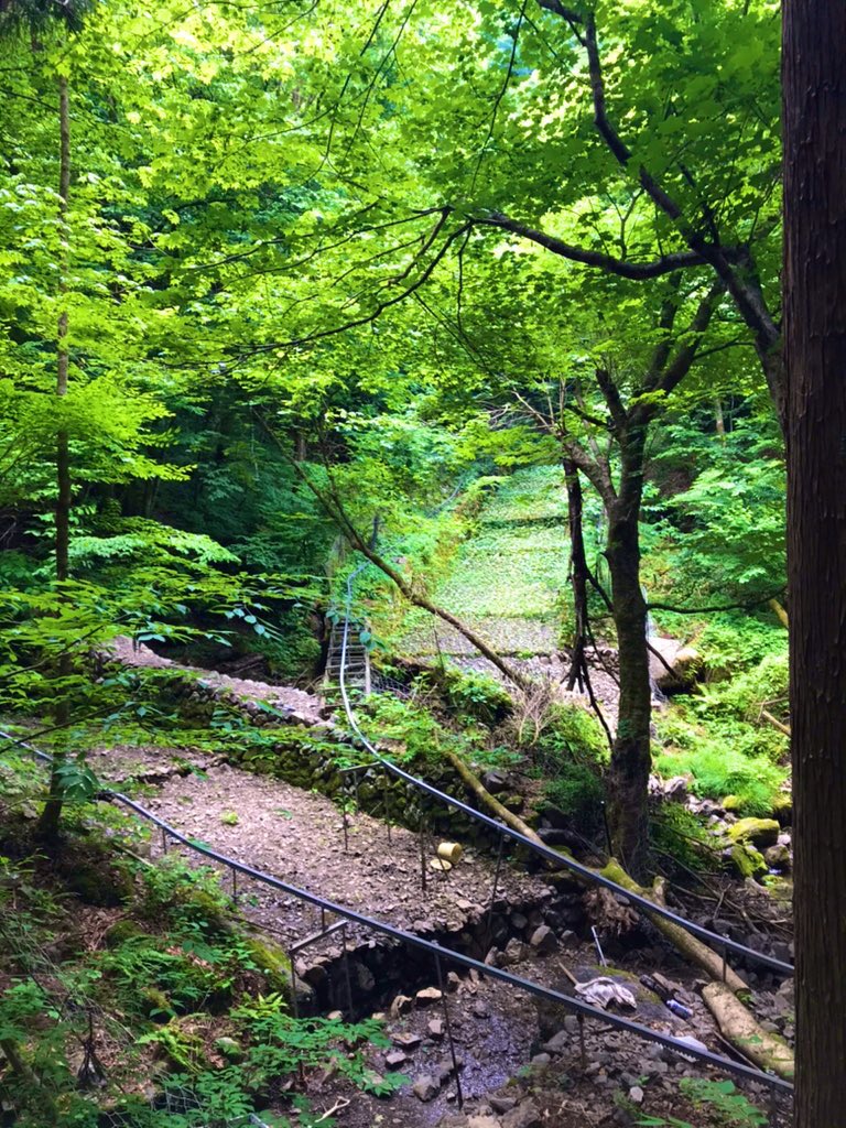 デレク＠日本大好きアメリカ人 on Twitter "I was in the mountains when I found this