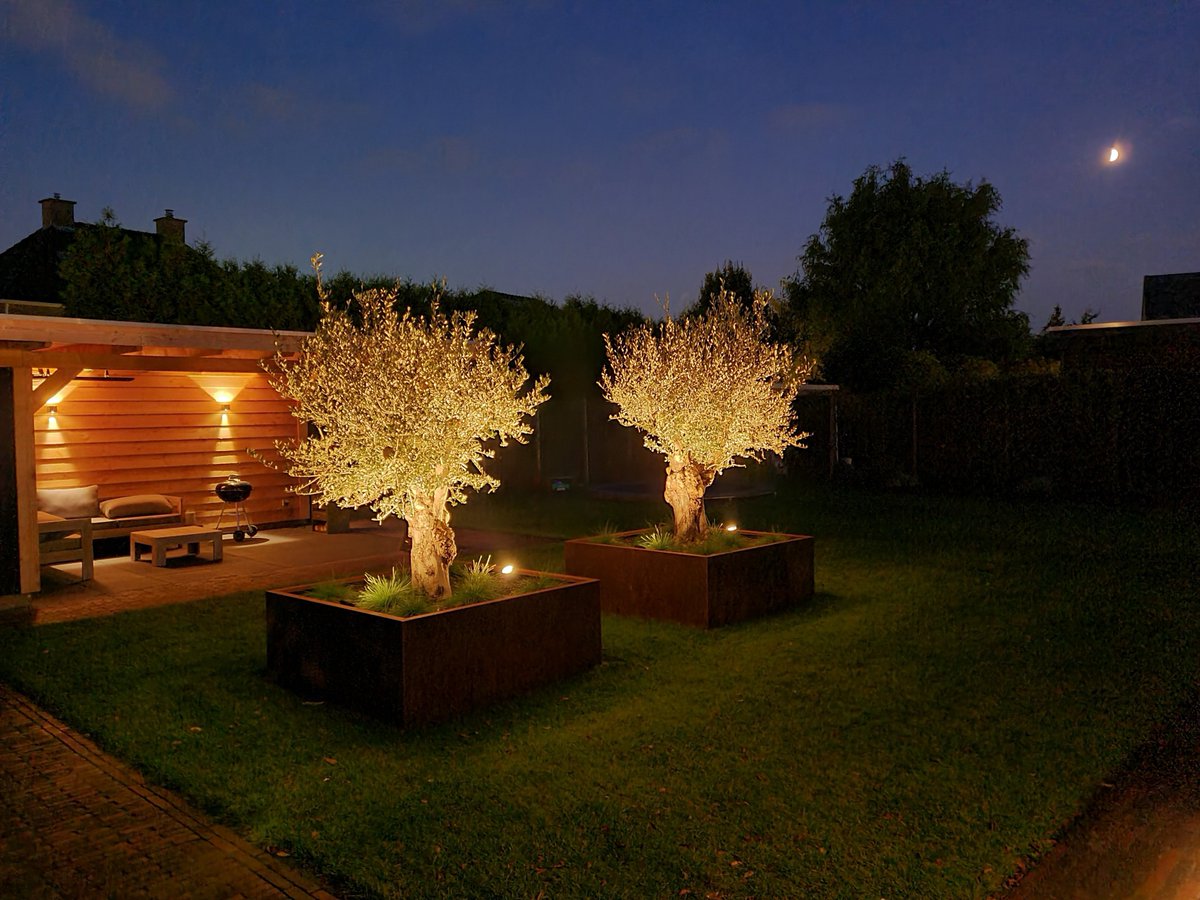 Buiten verlichting, genieten van de tuin in zomer én winter.