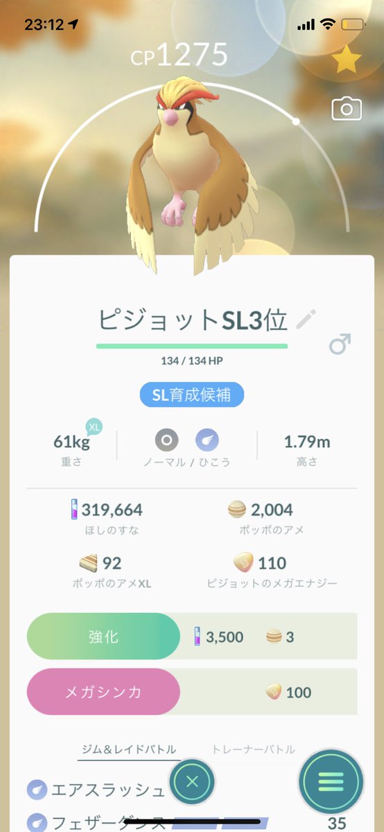 ポケモンgo ピジョットの色違い 入手方法と実装状況 攻略大百科