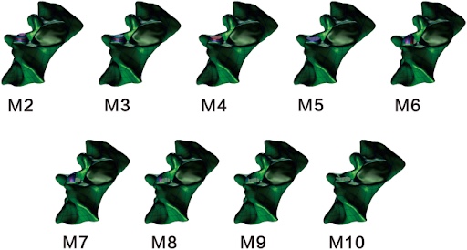 Arizona Sports Medicine Center tweet media