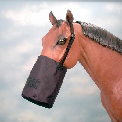 the four of tentacles tweet media