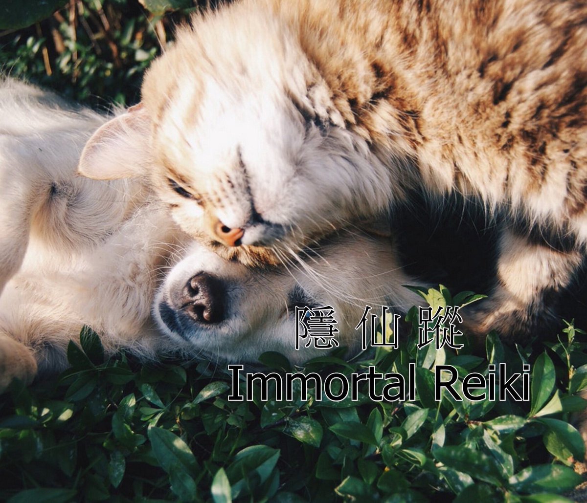 PowerHermit's tweet photo. 【Qi of Immortal and Hermit Power 】

~The chapter of pet~ 

People receive negative energy from daily life, little by little…

Read more➡️ 
https://t.co/RKSN8QVCPw

The link of our official Facebook group.
➡️ https://t.co/5lH0B8eglk

#energy
#dream_interpretation https://t.co/pNdap6swqr
