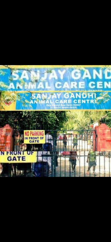 BHARATH28699's tweet photo. #presidentvci 
#PMOIndia 
#shameonmenkagandhi 
#boycottmenakagandhi
Madam ,,it is not correct to abuse a veterinarian in such way,,Show some respect to veterinary profession , Don't forget ,that ure an M.P ,elected by the people ,first  maintain this well madam🙏🙏 https://t.co/VunkXBUK5D