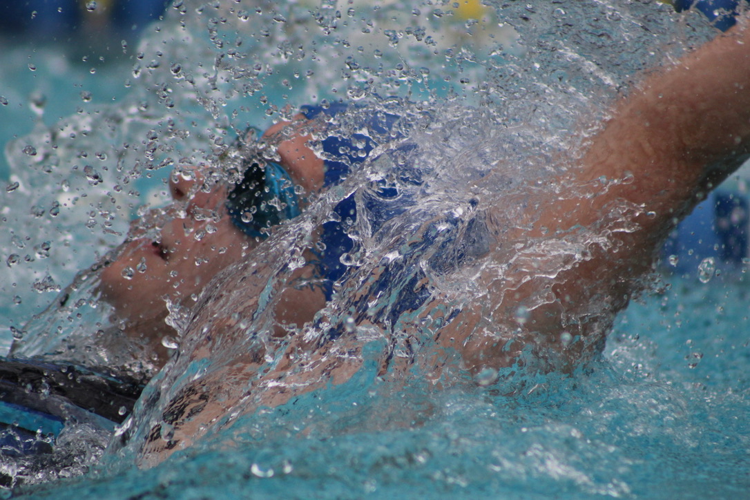 Langley Wildthings tweet media